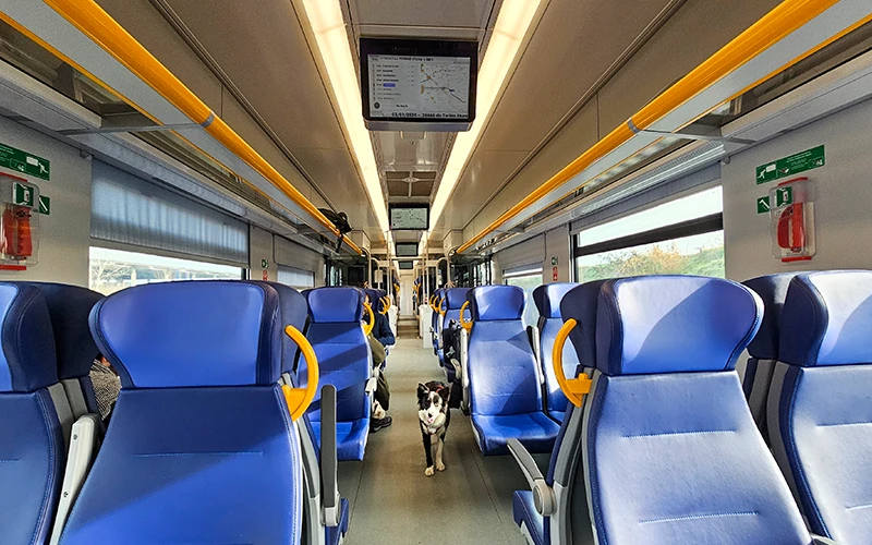 ¿Es mejor tren o autobús para viajar por Italia? 1 Italia in Tour: Viajes en tren por Italia durante 3 días por 35€