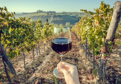 La ruta del vino en Chile: consejos para disfrutarla 1 Disfruta la Ruta del Vino por Argentina y Chile | Say Hueque