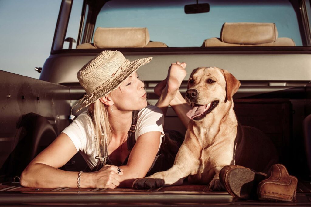 Los mejores destinos turísticos para viajar con mascotas 1 Viajar con mascota por España - Civitatis